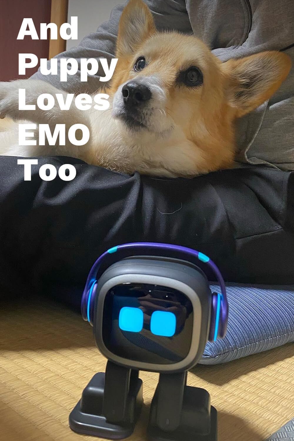 Amazon | EMO Go Home AI デスクトップ ペット ロボット EMO